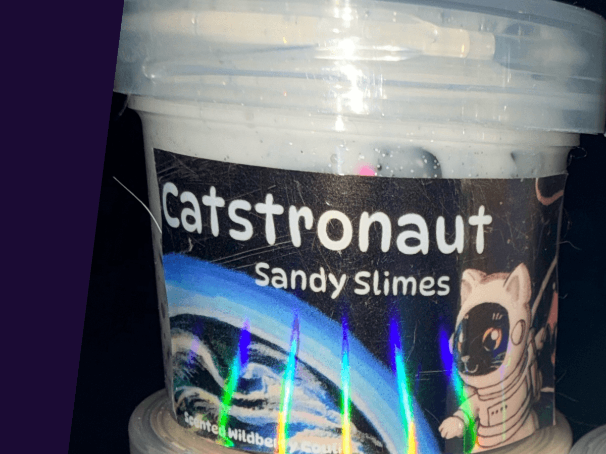 Catstronaut