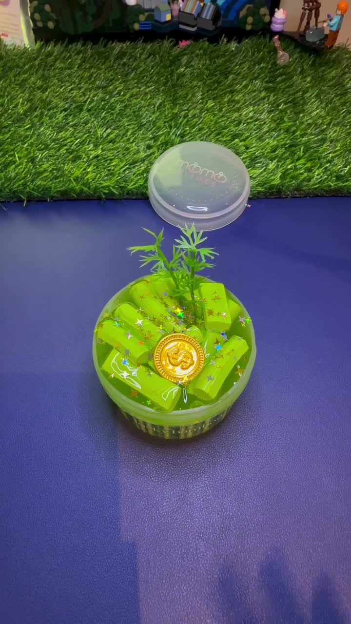 Lucky Bamboo