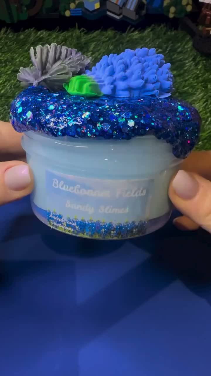 Bluebonnet Fields