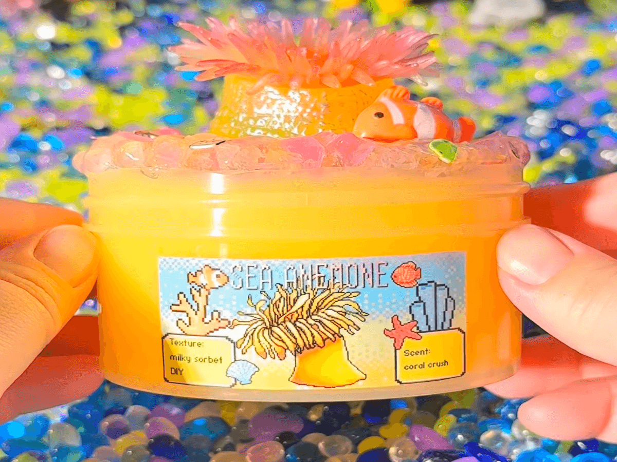 Sea Anemone