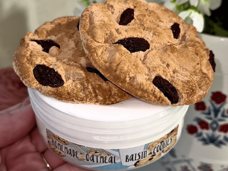 Homemade Oatmeal Raisin Cookie